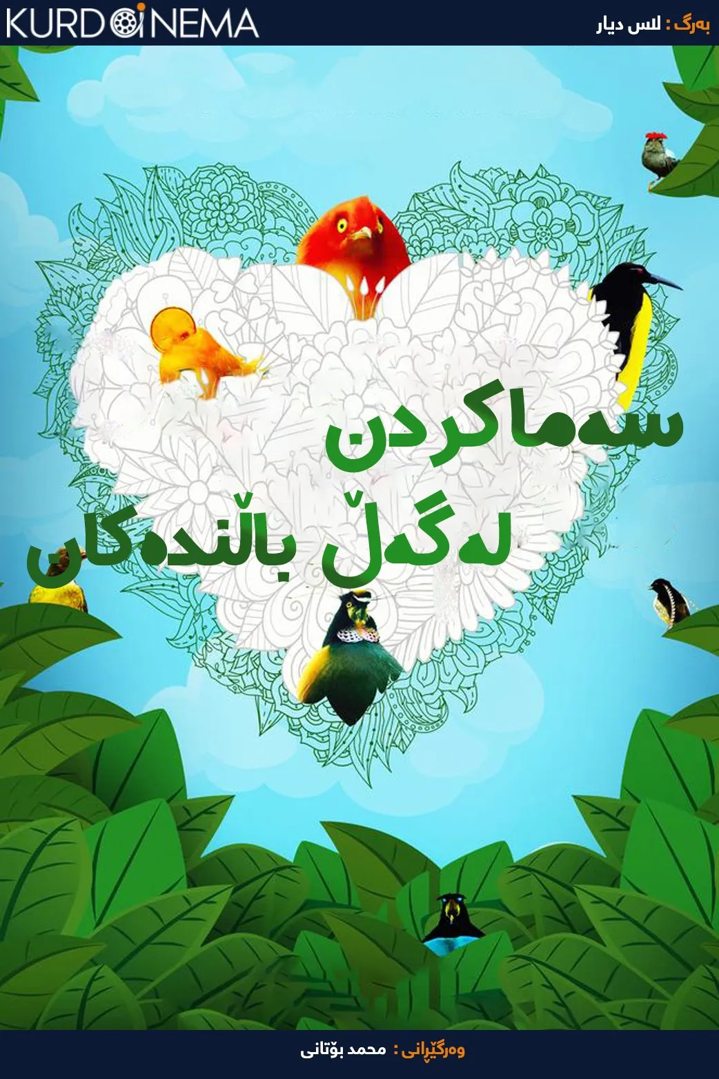 Dancing with the Birds (2019)