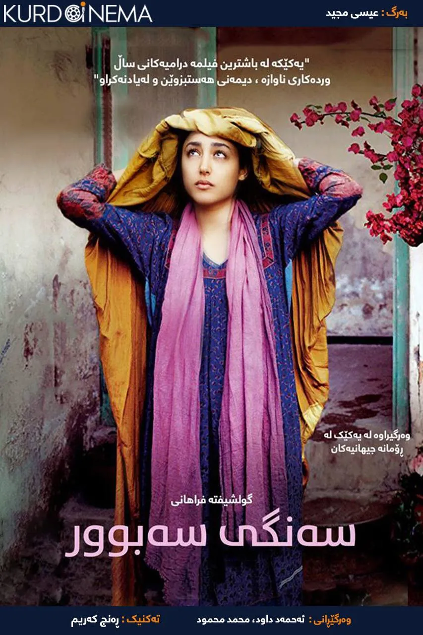 The Patience Stone (2012)