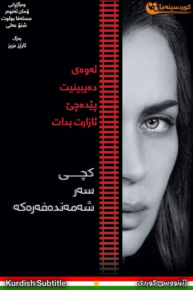 The Girl on the Train (2016)