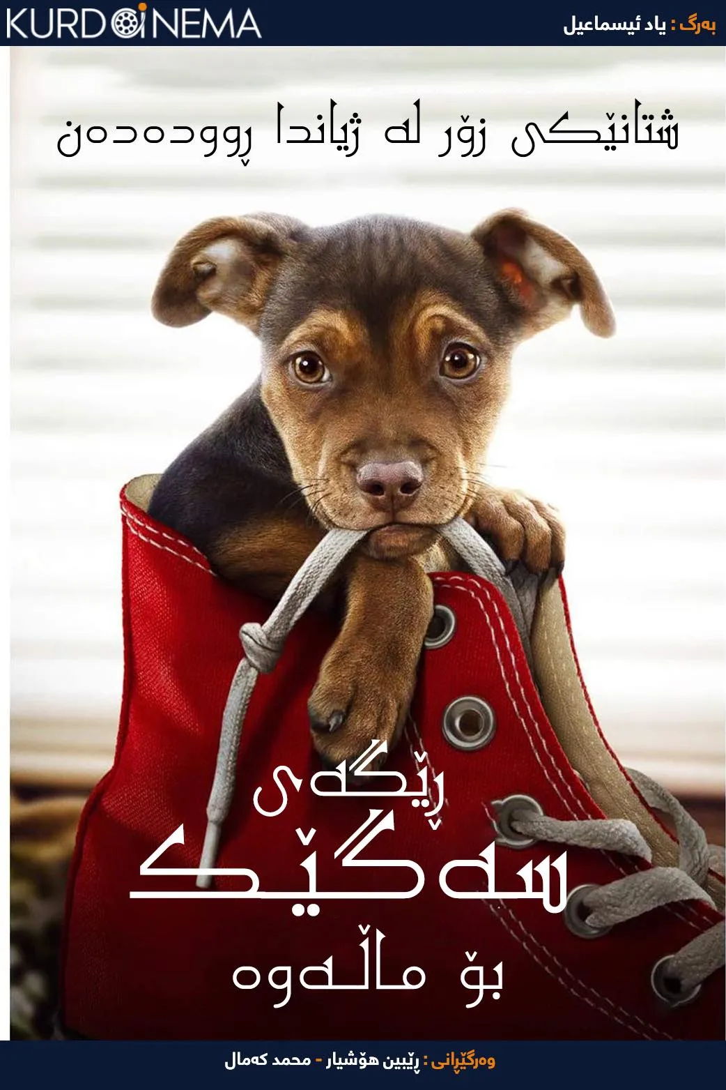 A Dog's Way Home (2019)