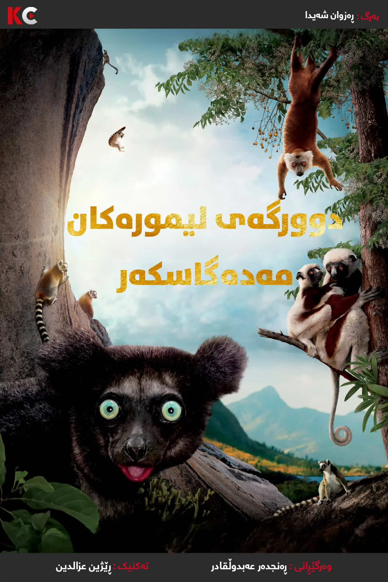 Island of Lemurs: Madagascar 3D (2014)