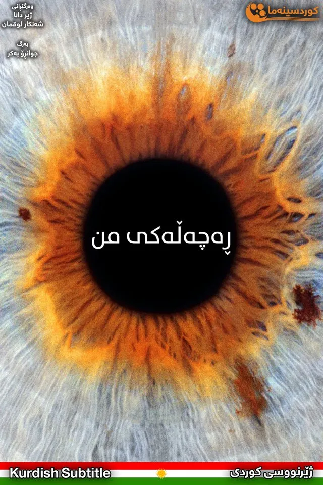 I Origins (2014)