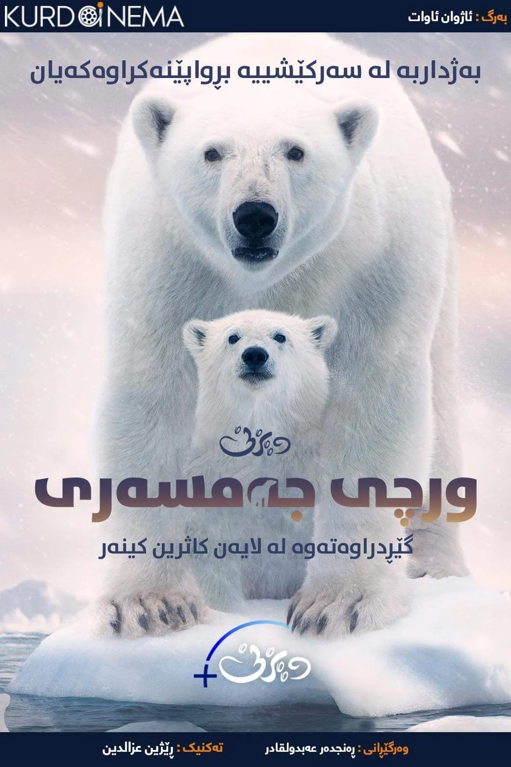 ‏Polar Bear (2022)