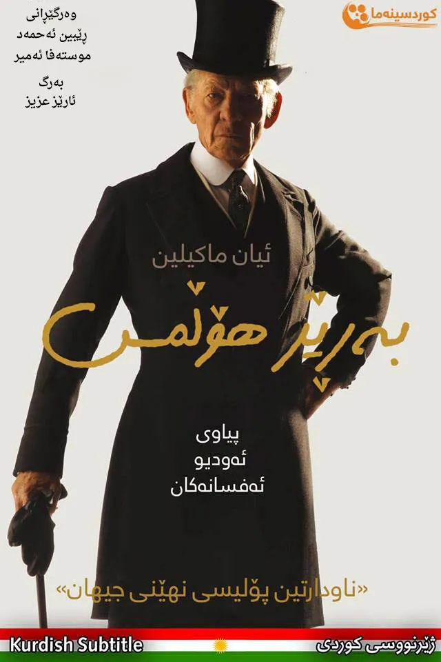 Mr. Holmes (2015)